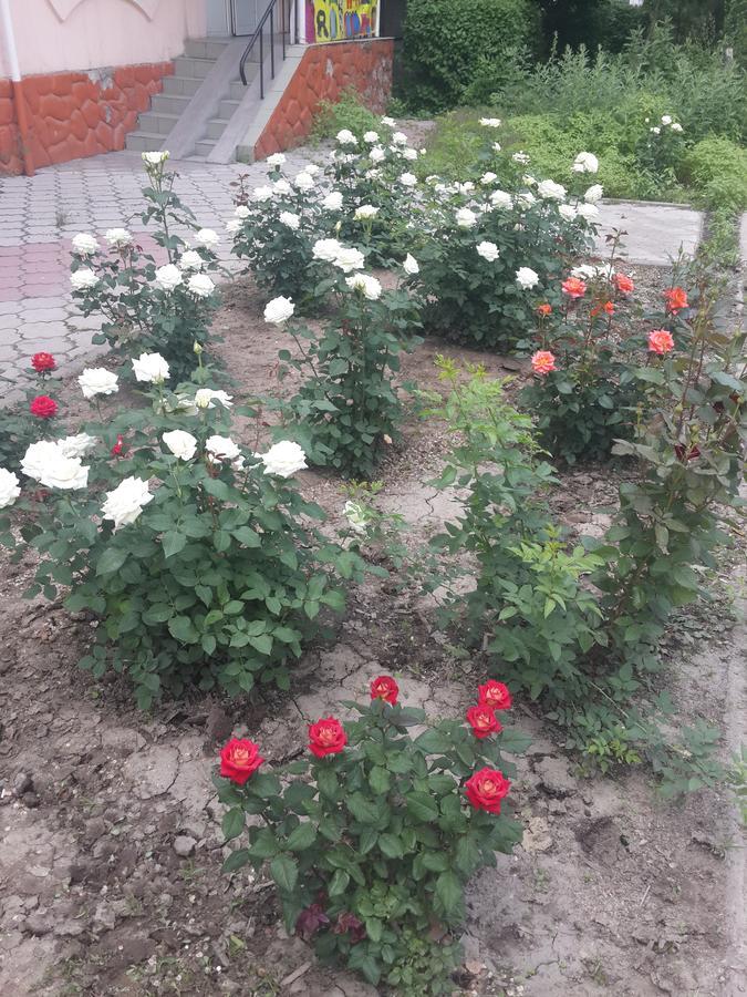 Fm Hostel Almaty Koktobe 외부 사진